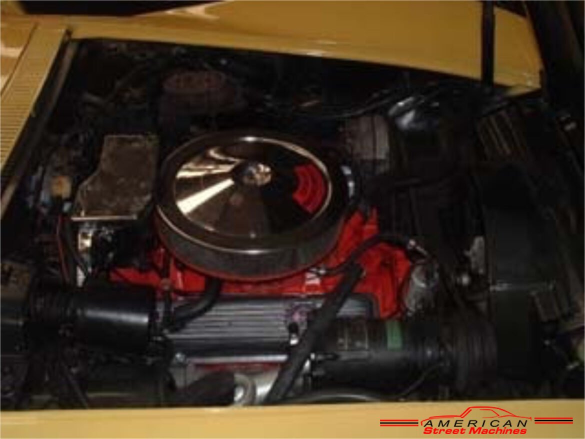 1225169vette718424 004
