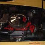 1225169vette718424 004