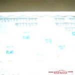 1337367vett110080docsc