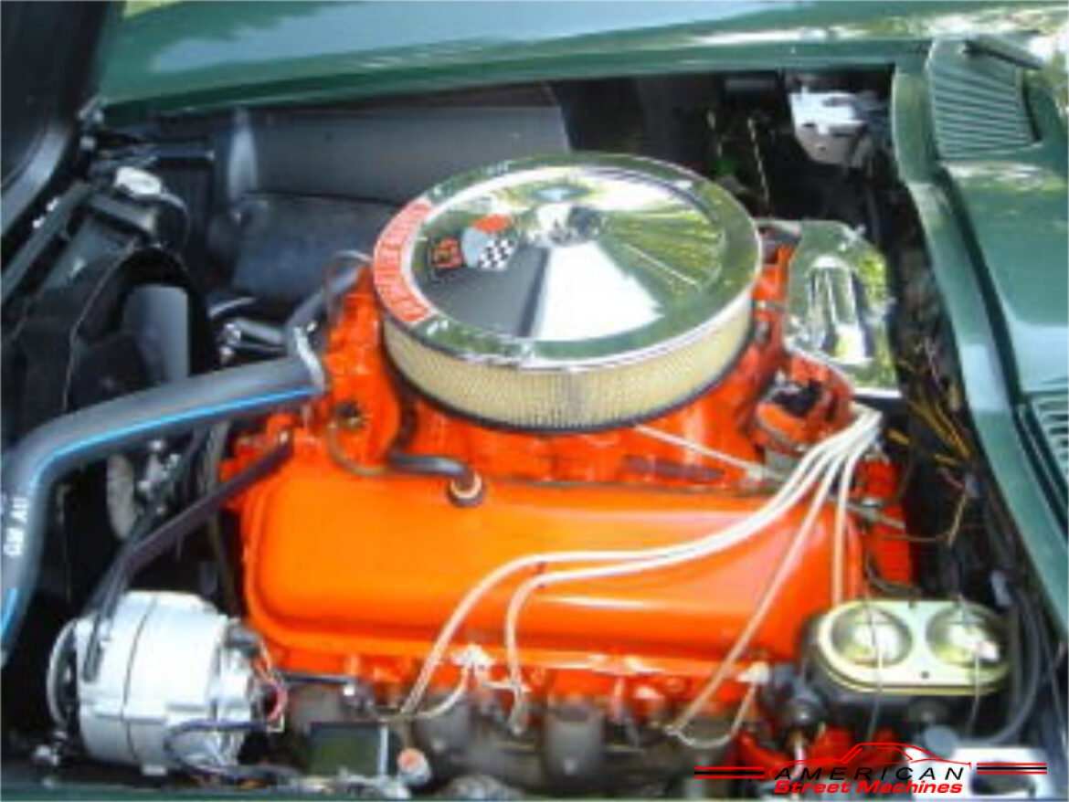1337867vett110080enga