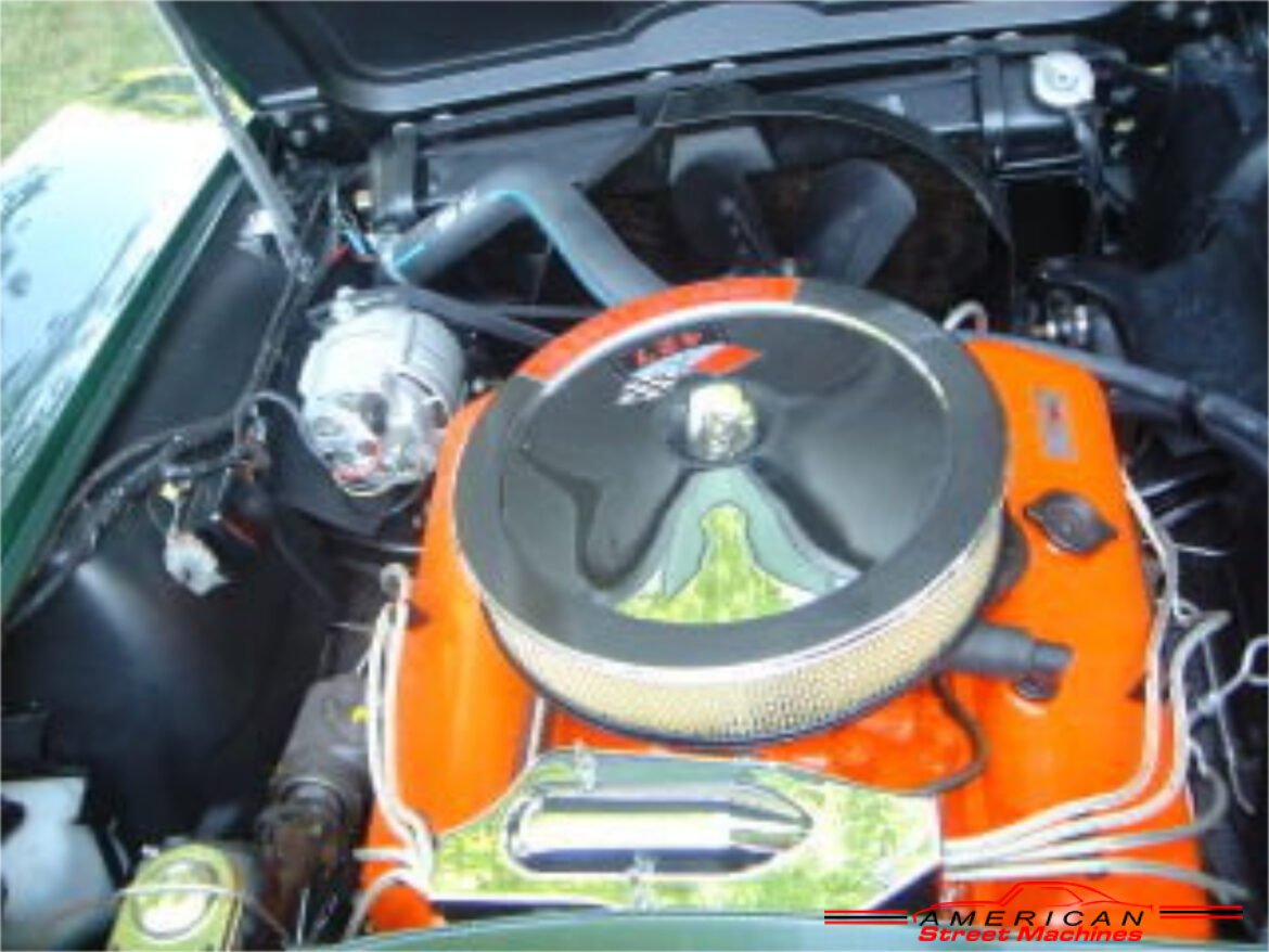 1337967vett110080engaa