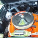 1337967vett110080engaa