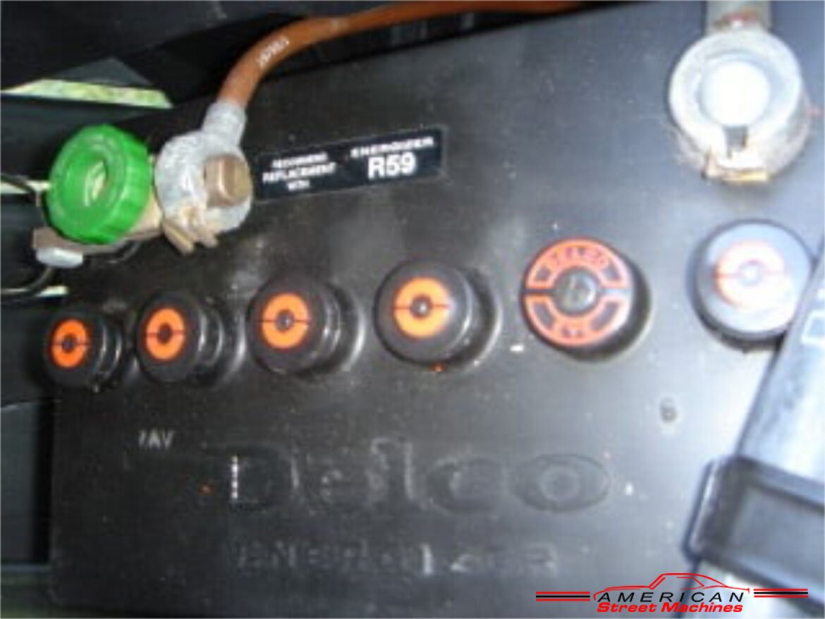 1338867vett110080engi