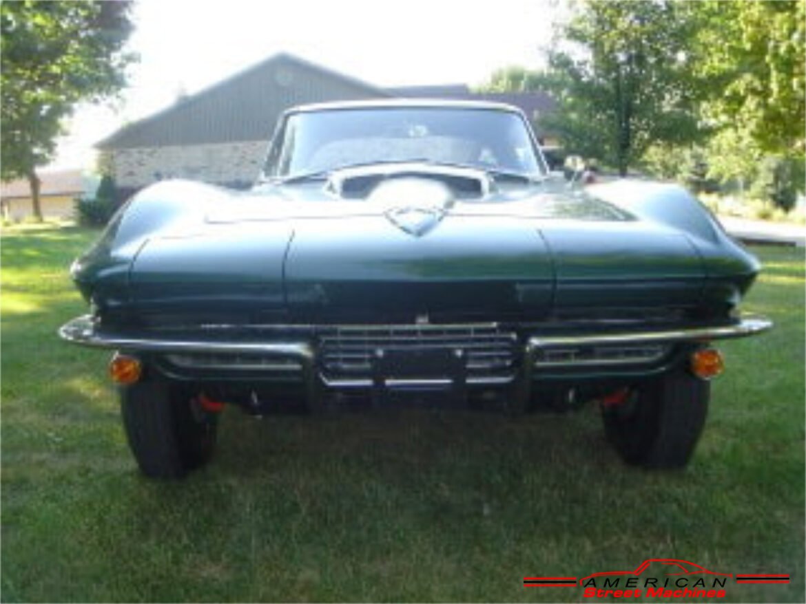 1338967vett110080exta