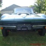 1338967vett110080exta