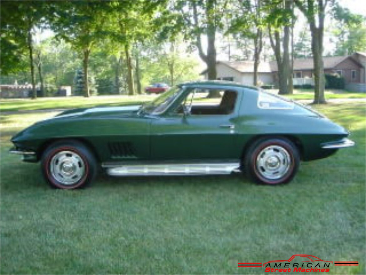 1339267vett110080extd