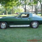 1339267vett110080extd