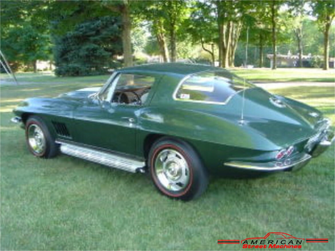 1339367vett110080exte