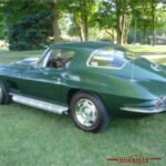 1339367vett110080exte