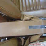 1340767vett110080intg