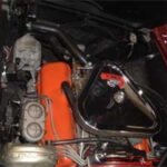 883567vett122825engb