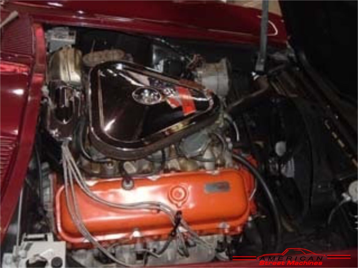 883667vett122825engc