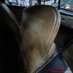IMG_3231