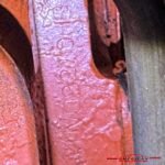 IMG_3620